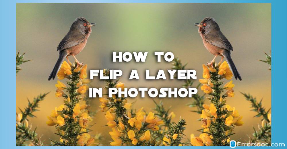 How to Flip a Layer in Photoshop: A Complete Guide