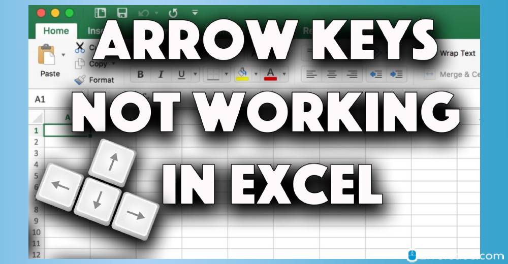 Arrow Keys not Working in Excel 2016: Quick Fixes